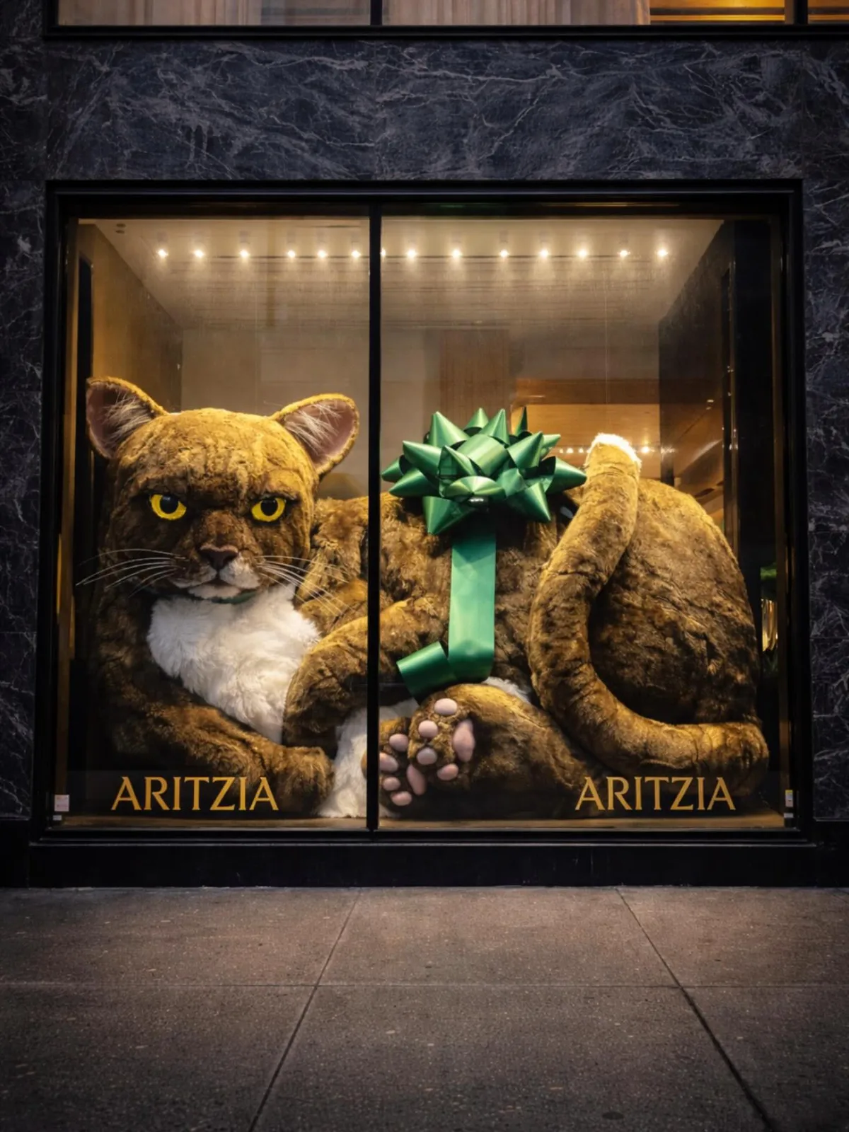 #meow from Catthew, the #cat at the #Aritzia Fifth Avenue Storefront #nyc #newyork Instagram preview