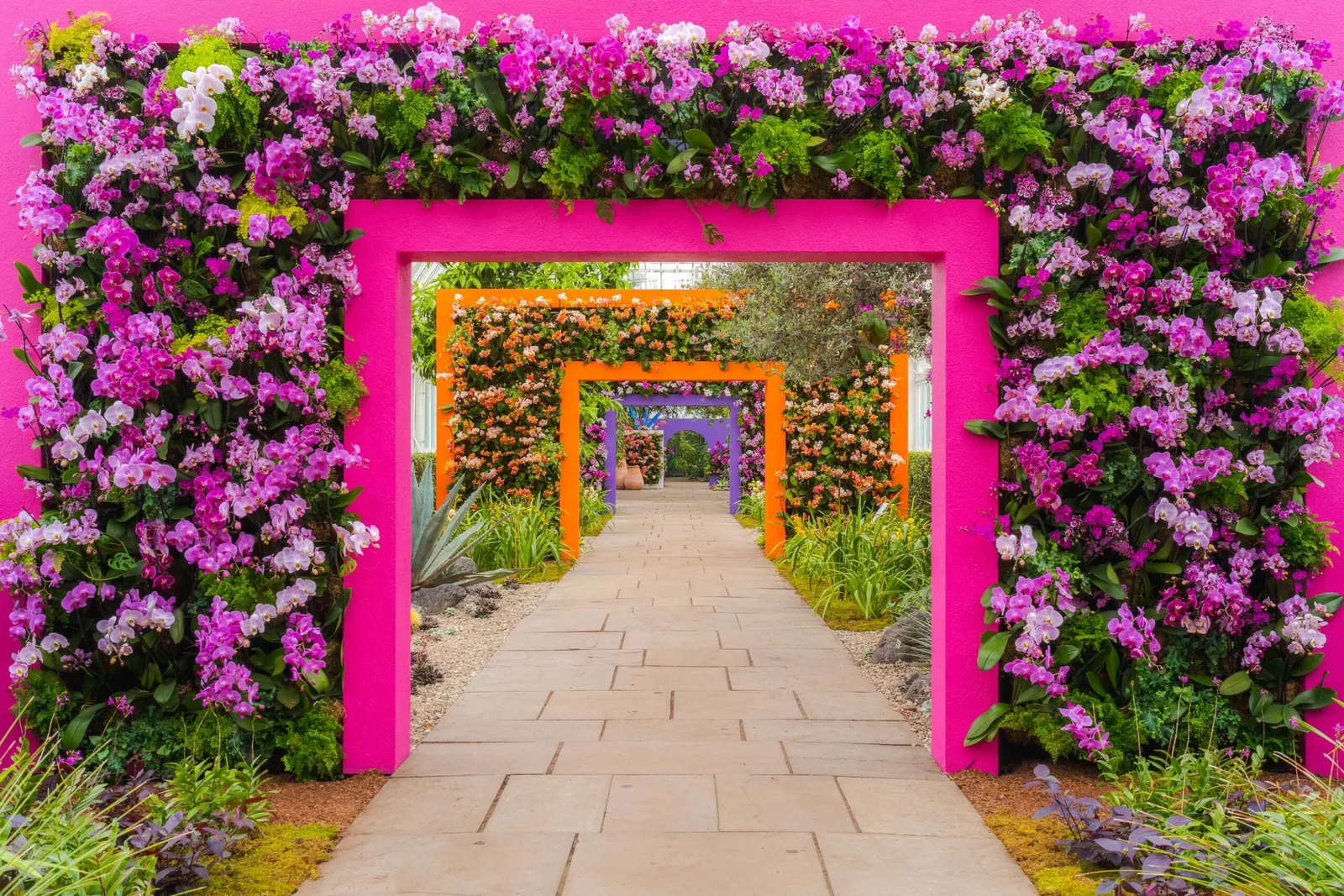 Orchids and tropical plants surround vivid geometric architecture inside the Haupt Conservatory