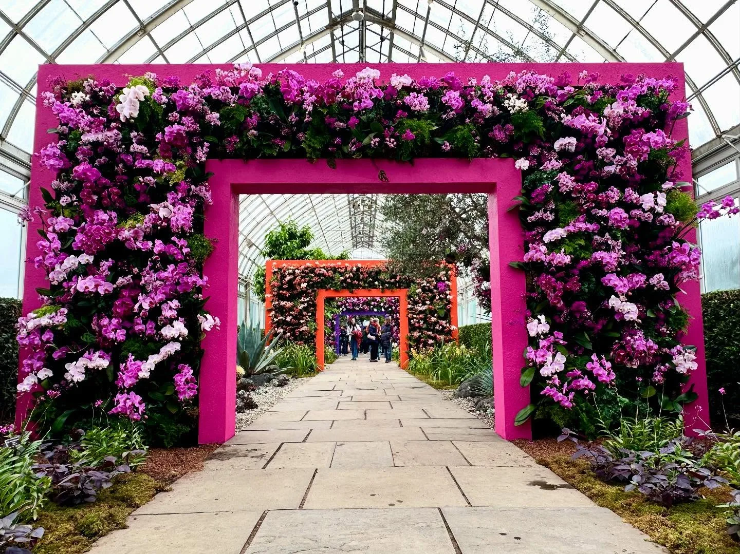 🌸 The New York Botanical Garden (NYBG) is hosting its 22nd annual Orchid Show, titled “Mexican Modernism.” This exhibition runs from February 15 through April 27, 2025. Instagram preview
