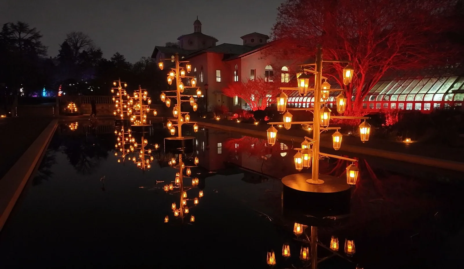 Lantern-shaped lights reflected in a pool outside Brooklyn Botanic Garden's conservatory at night