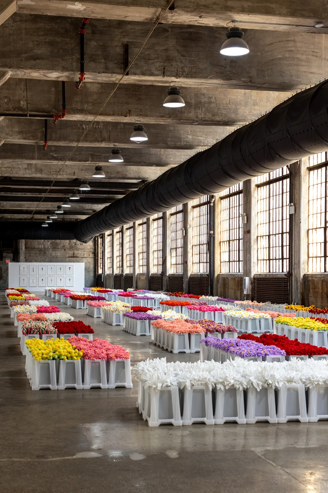 Rows of colorful plush flowers fill white market bins inside an industrial hall at Industry City