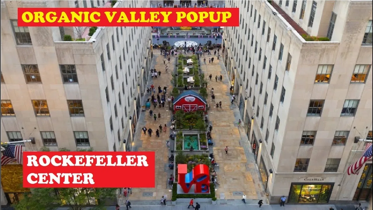 Organic Valley Pops-up at Rockefeller Center Bringing a Small Farm to NYC - New York City thumbnail