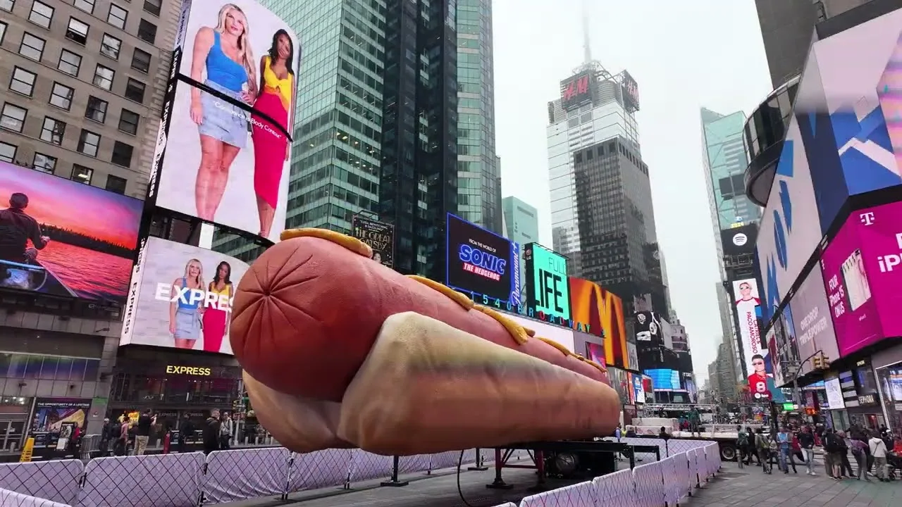 The “Hot Dog in the City” Epic Hot Dog Installation in Times Square #TimesSquare #HotDog #art #food thumbnail