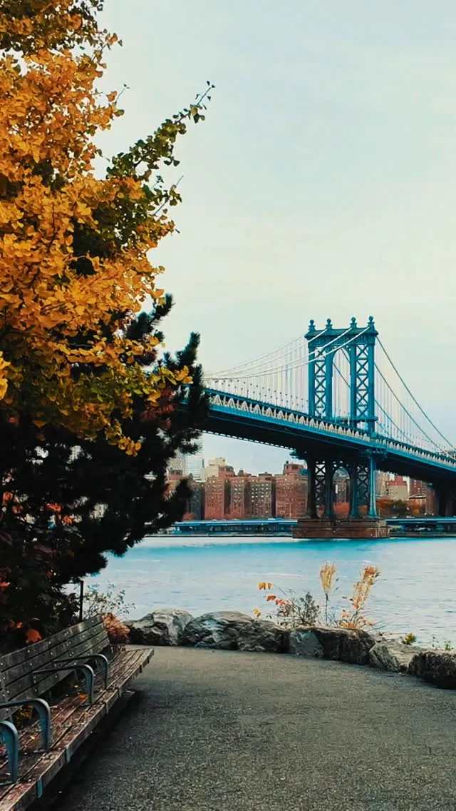🍁 #fall vibes in #DUMBO #brooklyn #nyc #brooklynbridge Instagram preview
