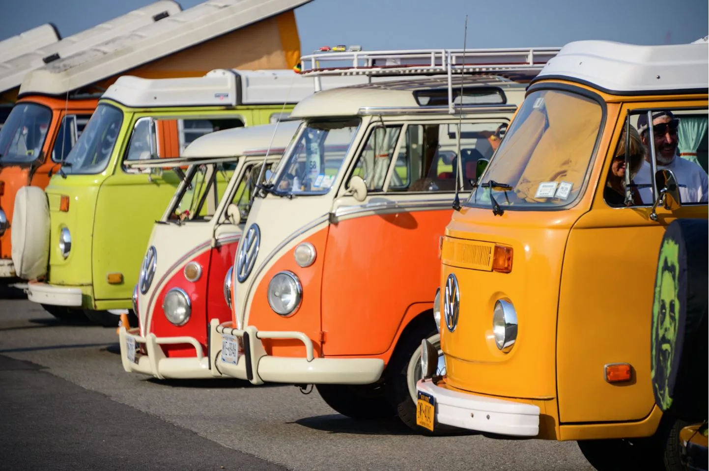 A row of orange, red, cream, and green vintage Volkswagen buses stands in the sun