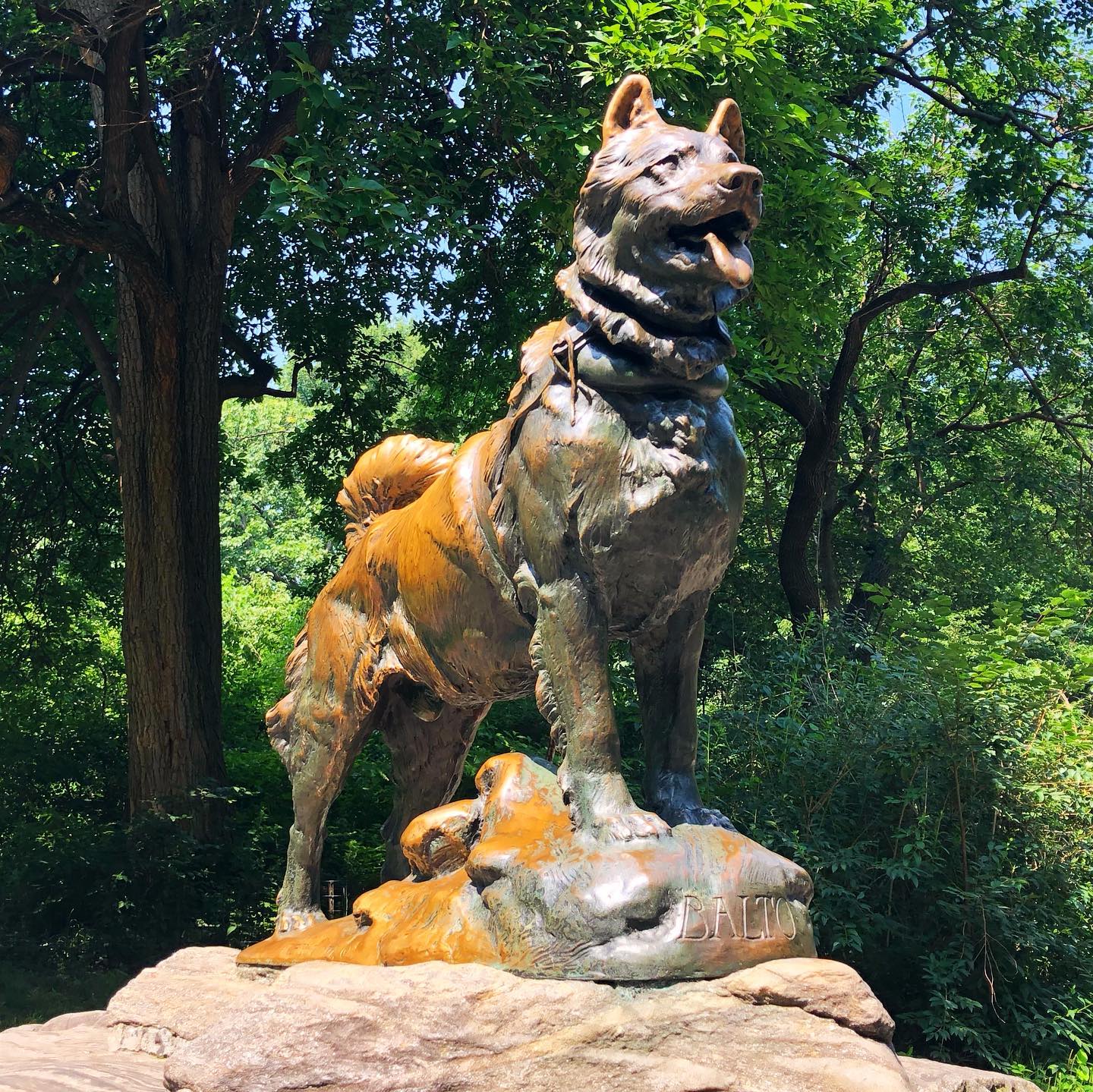 Balto the Sled Dog Instagram preview