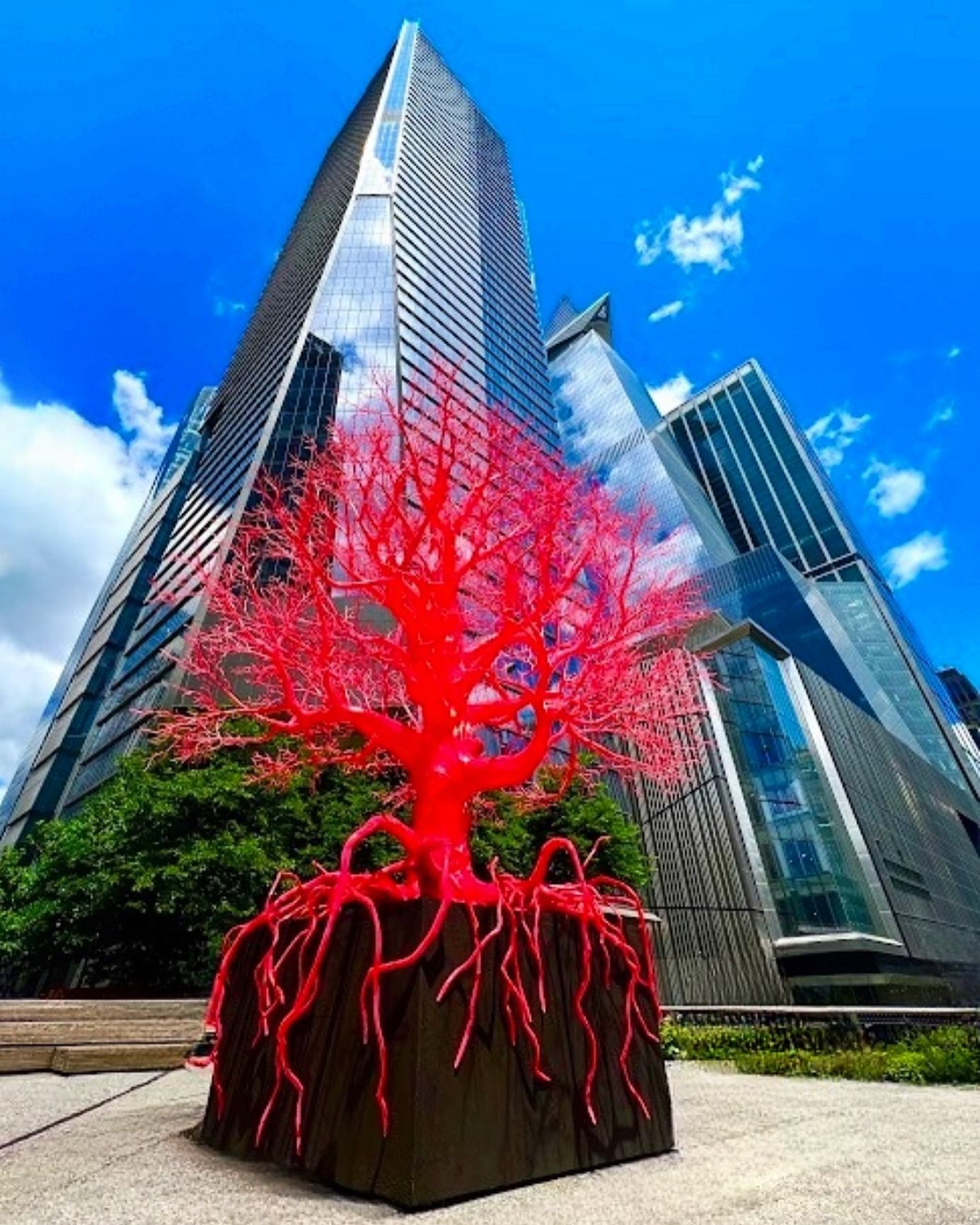 The Old Tree by Swiss artist Pamela Rosenkranz Instagram preview