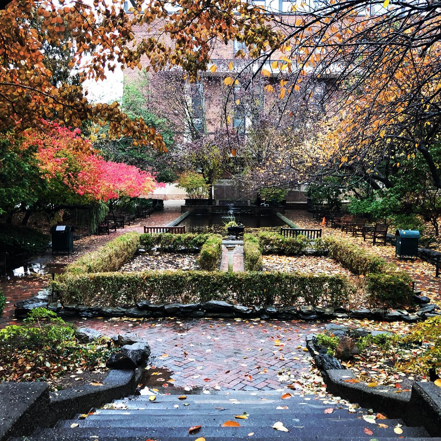 Brooklyn College Pond Instagram preview