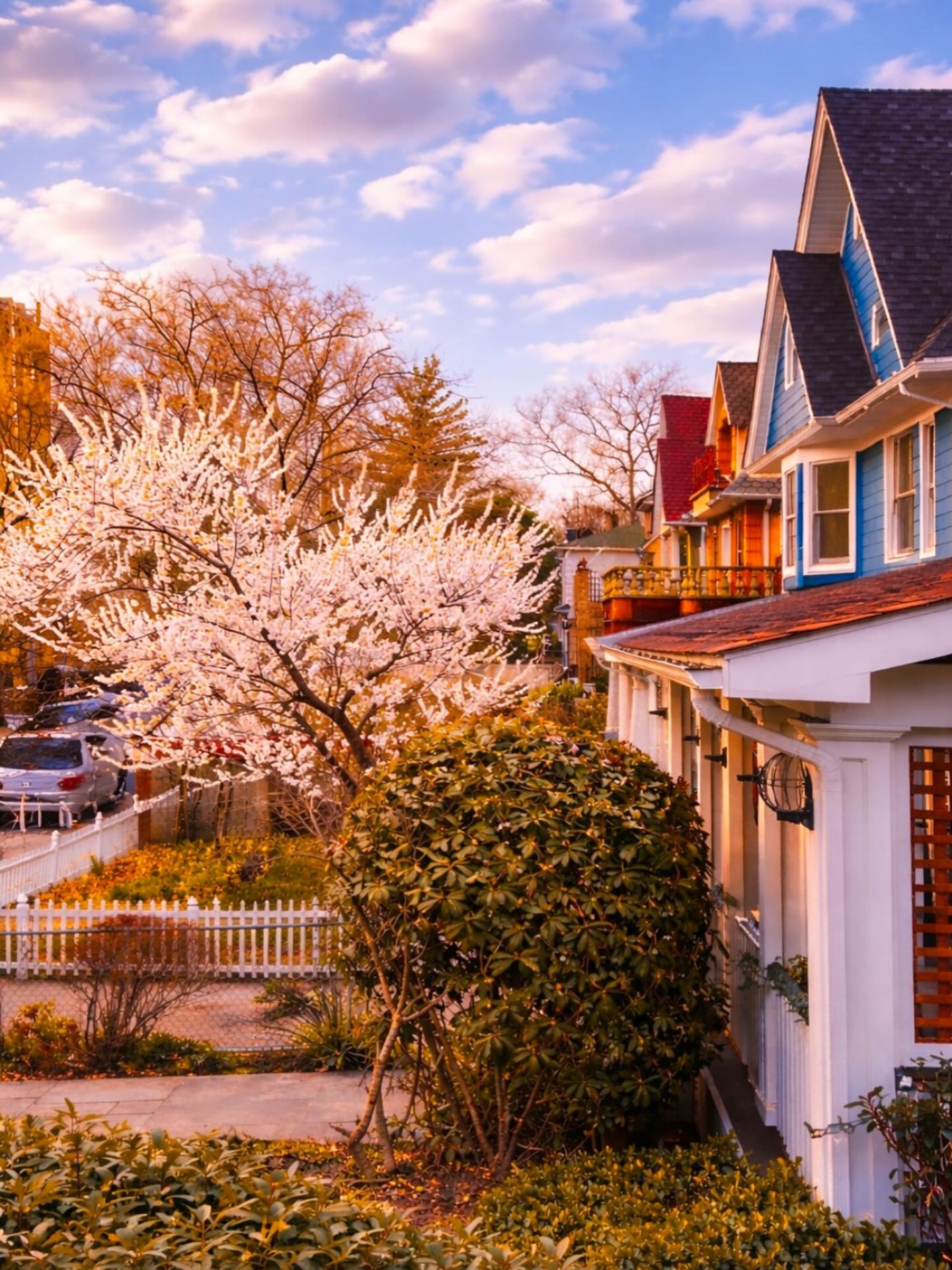 #spring #cherryblossom #weekend #photography #nyc Instagram preview
