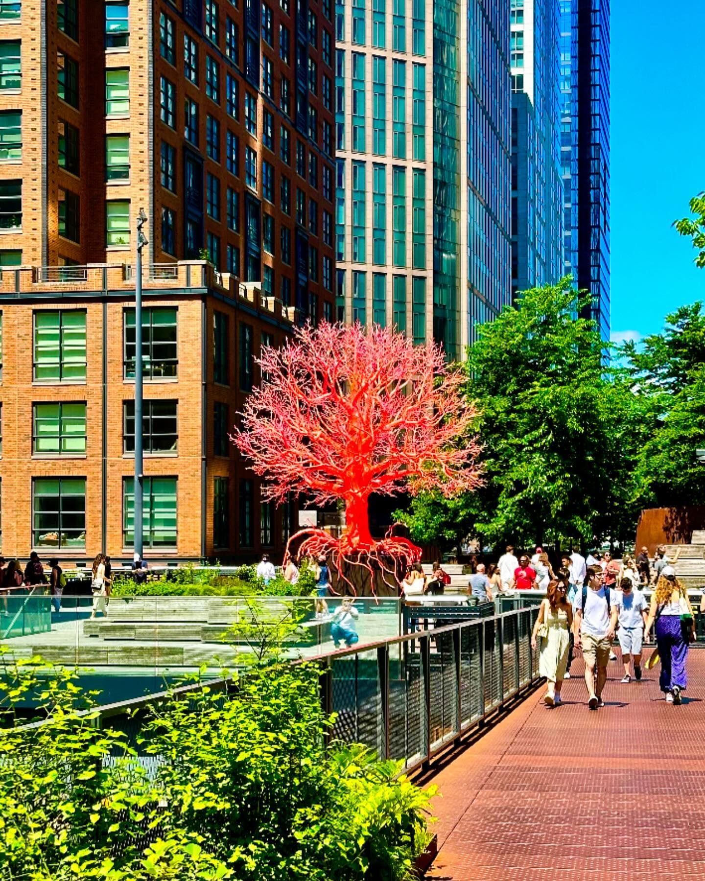 🌳✨ Old Tree @HudsonYardsNYC @highlinenyc Instagram preview