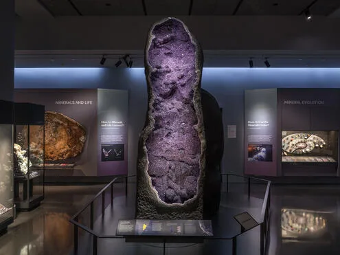 Giant Geodes